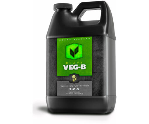 Heavy 16 Veg Part B Quart