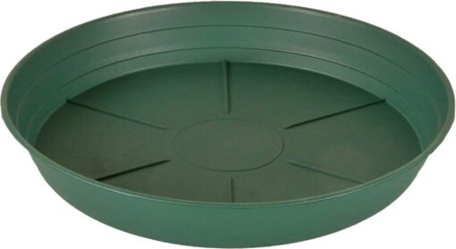 Green Premium Saucer 10", pack of 25