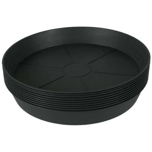 Green Premium Saucer 12", pack of 10