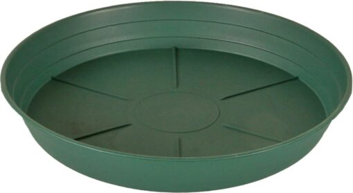Green Premium Saucer 16" (Sold Individually)