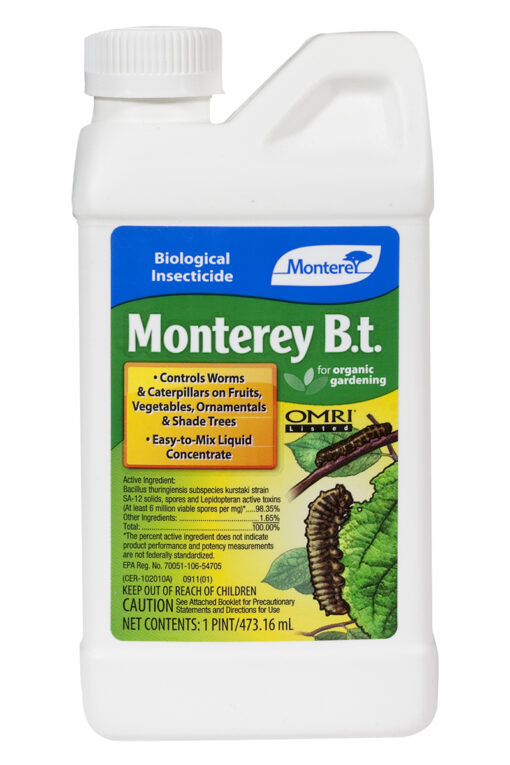 Monterey B.t. Pint