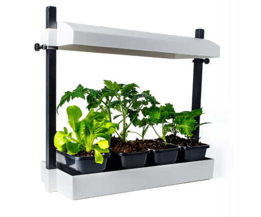 LED - Growlight Garden Micro - White - Premier Hydro