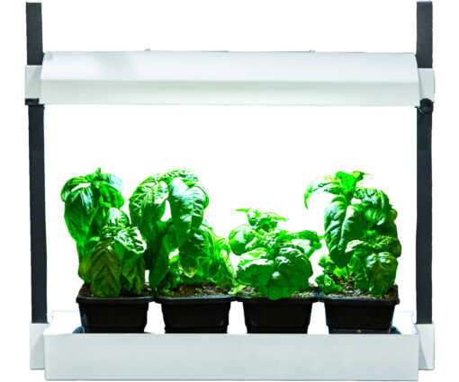 LED - Growlight Garden Micro - White - Premier Hydro - Image 5
